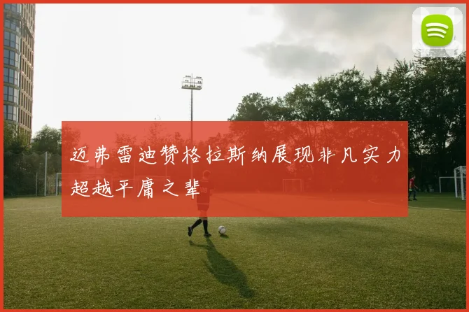 迈弗雷迪赞格拉斯纳展现非凡实力超越平庸之辈