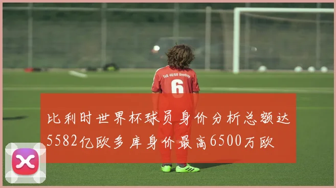 比利时世界杯球员身价分析总额达5582亿欧多库身价最高6500万欧